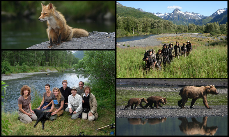 Collage of photos showing a map of Kodiak Island, photos of bears, puffins, and other wildlife